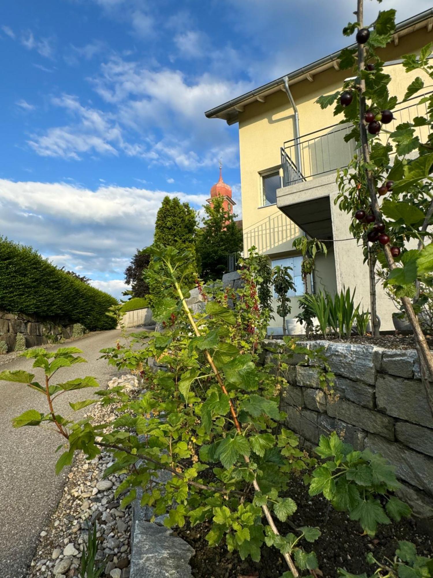 Villa Modern Ufhusen Exterior foto